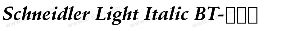 Schneidler Light Italic BT字体转换